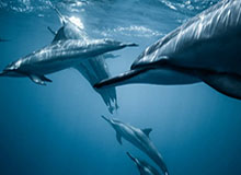 大众娱乐官网：重新定义娱乐生活的数字新体验